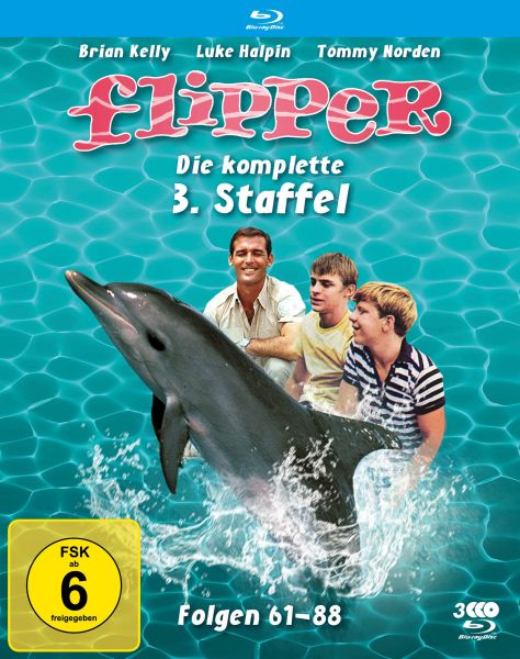 Flipper - Die komplette 3. Staffel